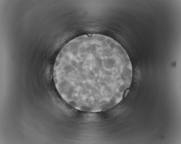 X0000114700428200911181321