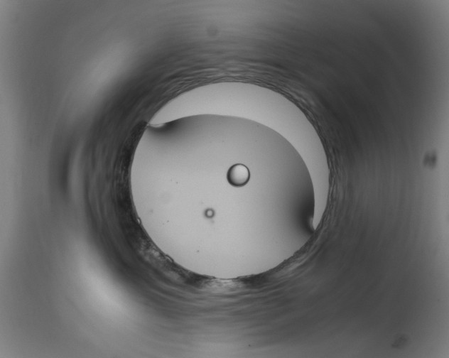 X0000114700429200911181321