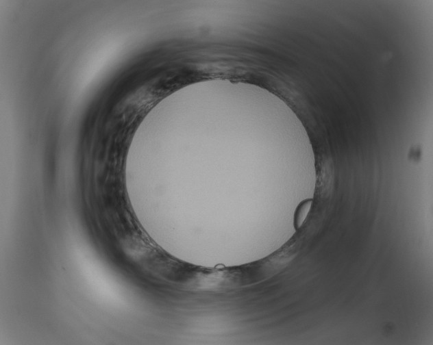 X0000114700430200911181321