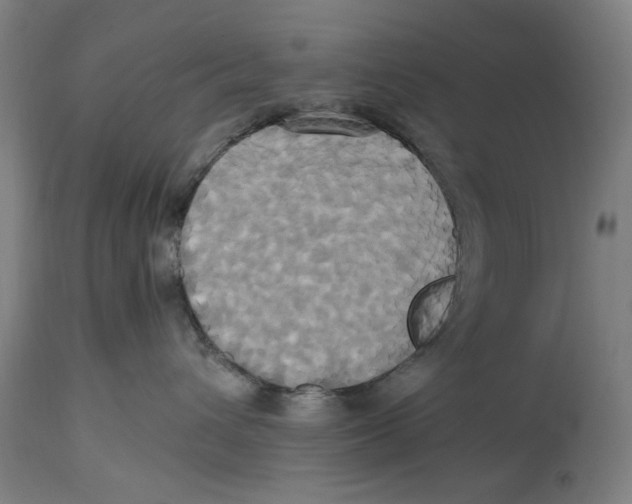 X0000114700432200911181321