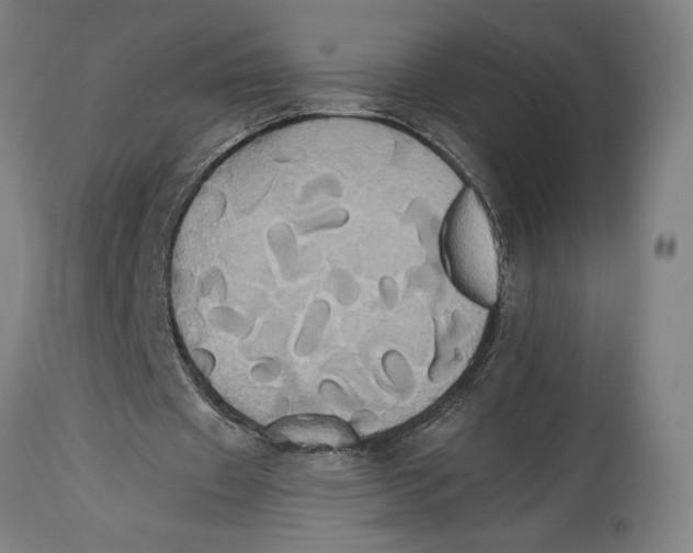 X0000114700433200911181320