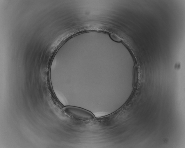 X0000114700434200911181320