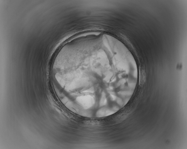 X0000114700435200911181320