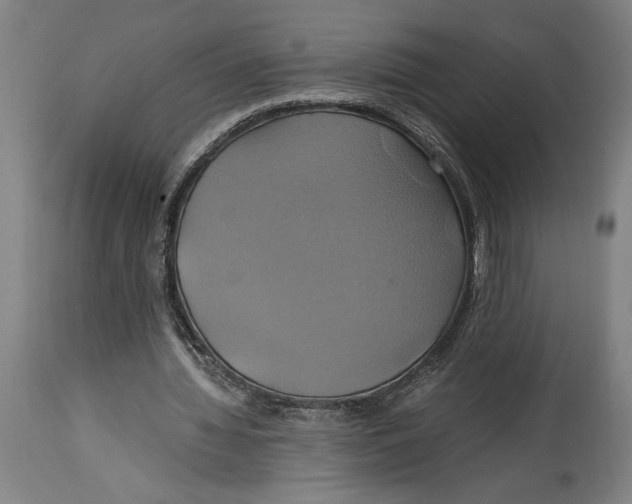 X0000114700436200911181320