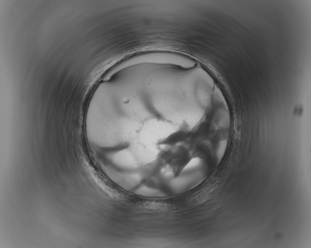 X0000114700437200911181320