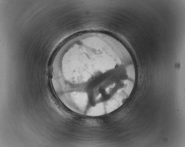 X0000114700439200911181320