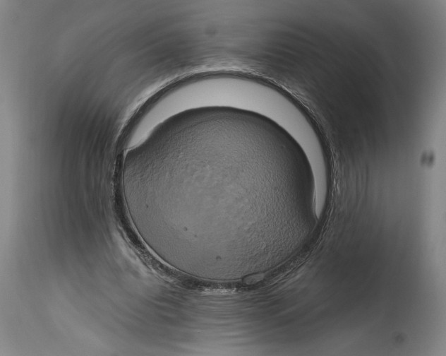 X0000114700440200911181320