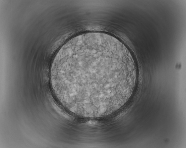 X0000114700441200911181320