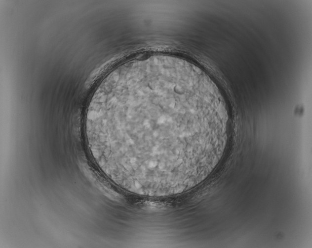 X0000114700442200911181320