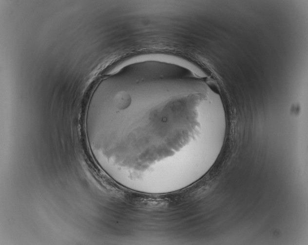 X0000114700443200911181320