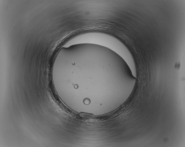 X0000114700444200911181320