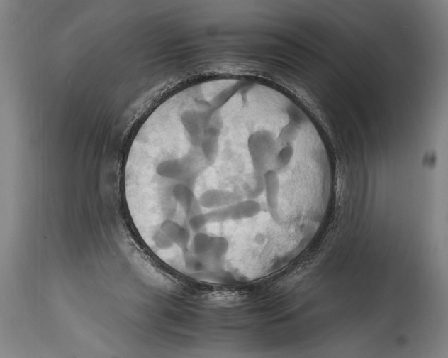 X0000114700445200911181320