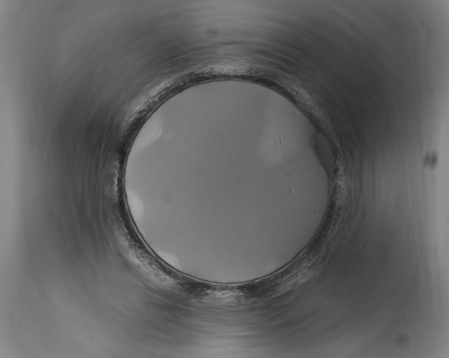 X0000114700446200911181320