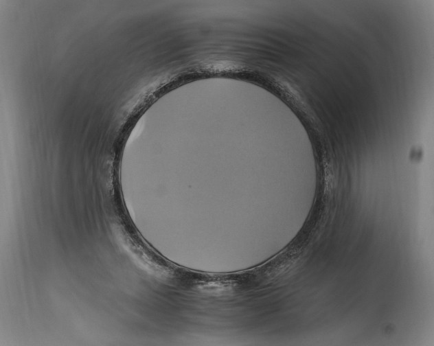 X0000114700447200911181320