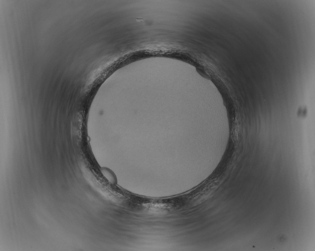 X0000114700448200911181321