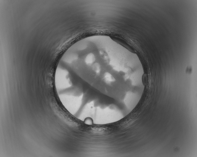 X0000114700450200911181321