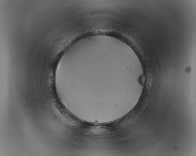 X0000114700451200911181321