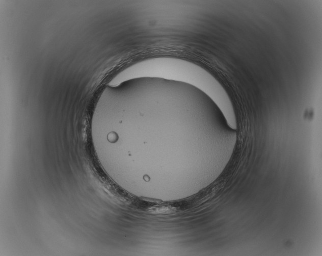 X0000114700452200911181321