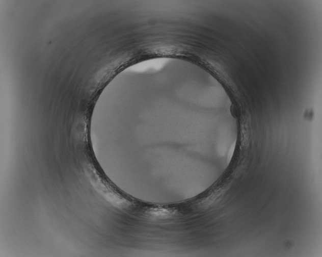 X0000114700453200911181321