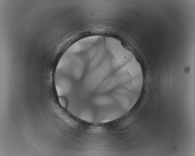 X0000114700454200911181321