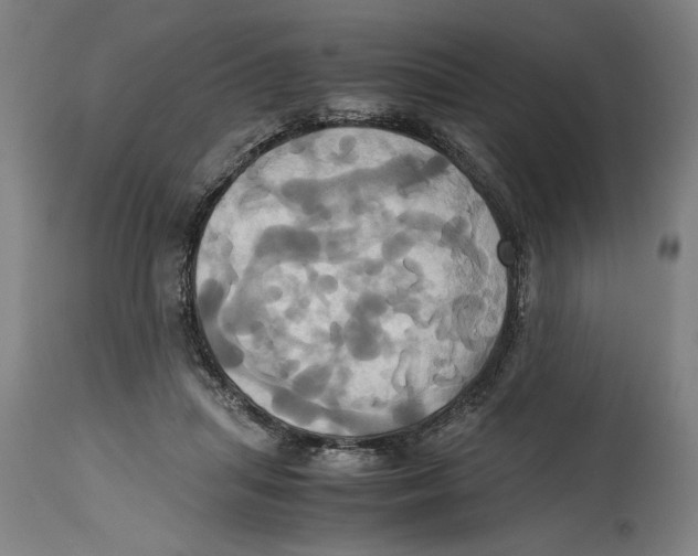 X0000114700455200911181321