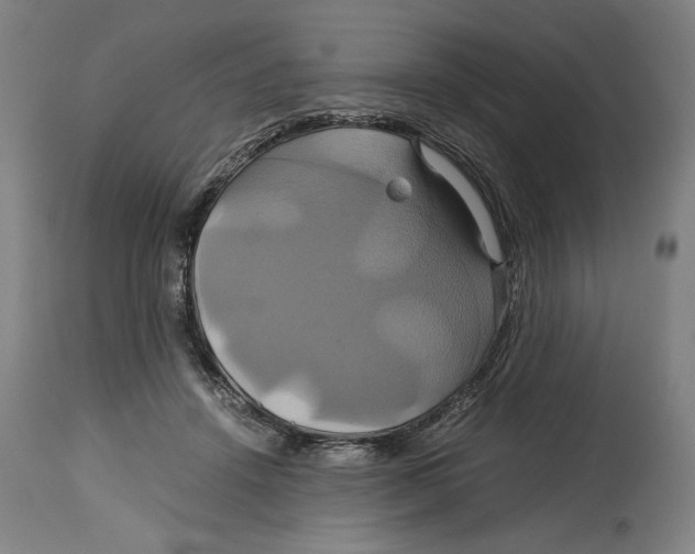 X0000114700456200911181321