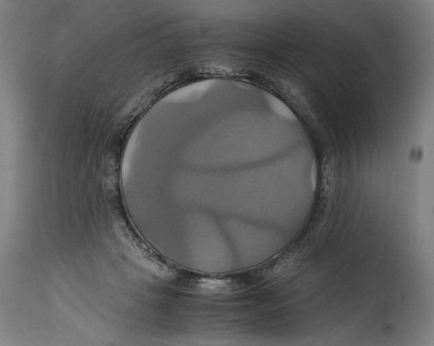 X0000114700457200911181321