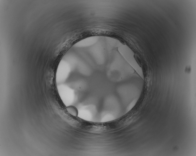 X0000114700458200911181321