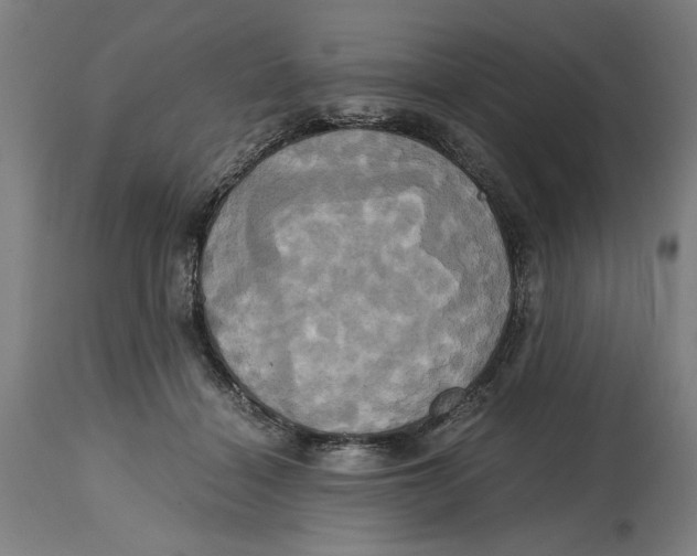 X0000114700460200911181321