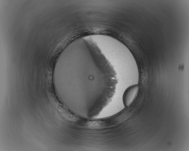 X0000114700461200911181321