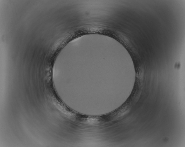 X0000114700462200911181321