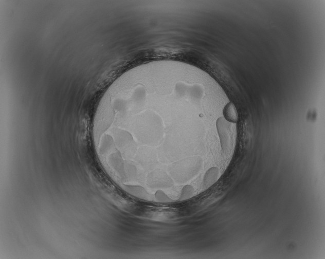 X0000114700463200911181321