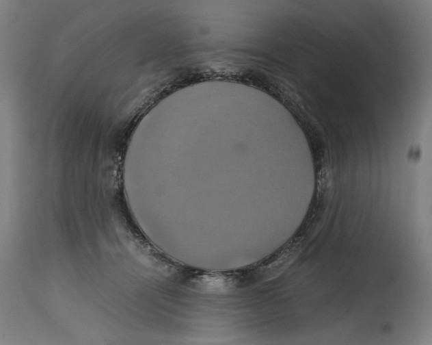 X0000114700464200911181321