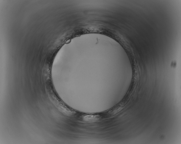 X0000114700465200911181321