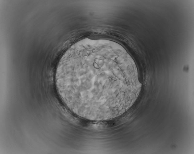 X0000114700466200911181321