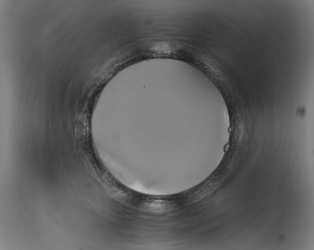 X0000114700467200911181321