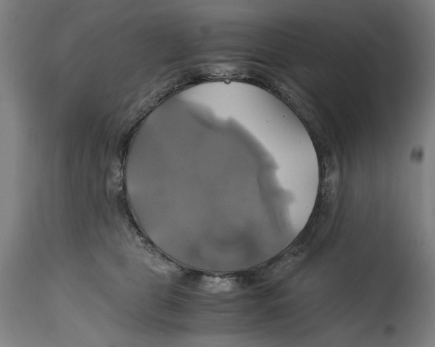 X0000114700469200911181321