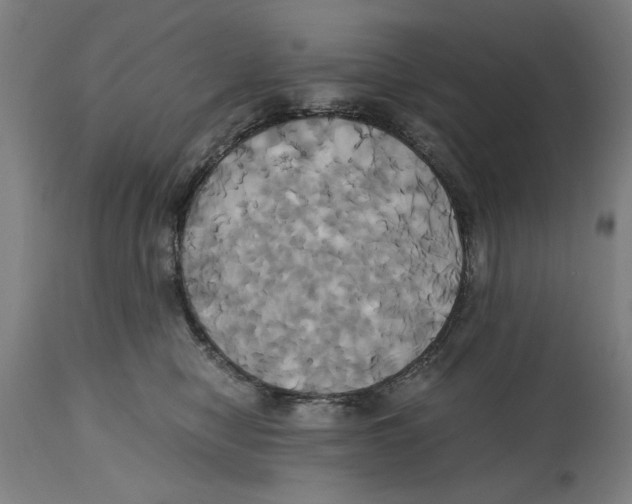 X0000114700470200911181321