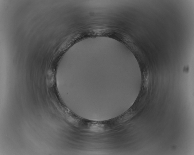 X0000114700471200911181321