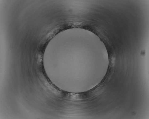 X0000114700472200911181321