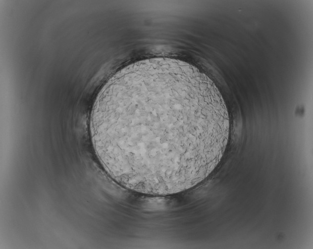 X0000114700473200911181321