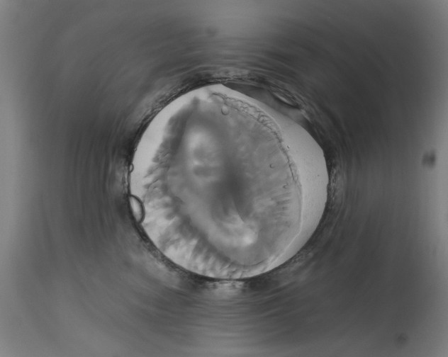 X0000114700474200911181321