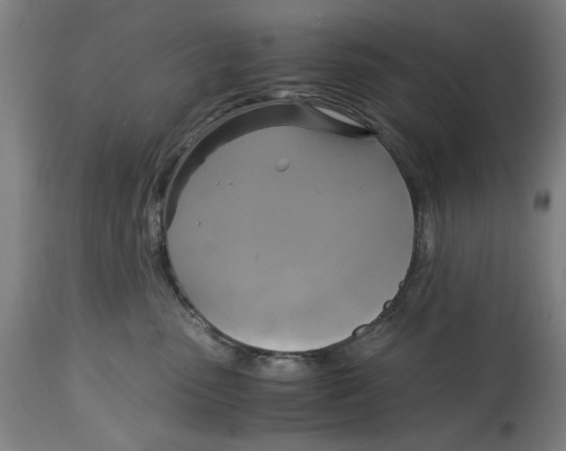 X0000114700475200911181321