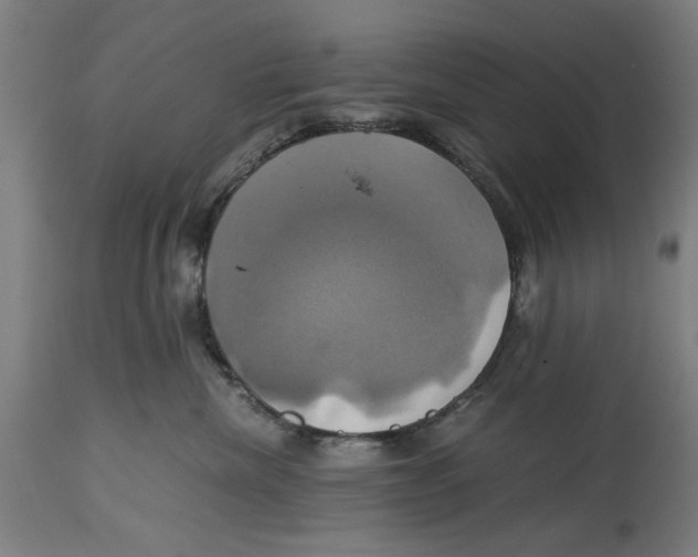 X0000114700476200911181321