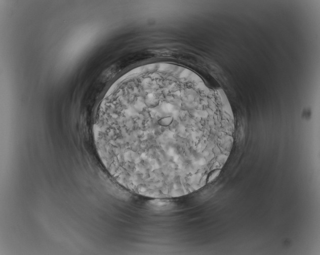 X0000114700477200911181321