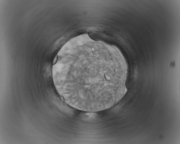 X0000114700478200911181321