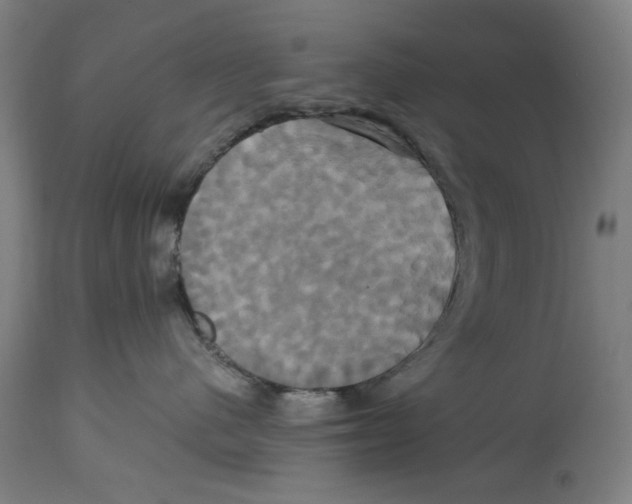 X0000114700480200911181321