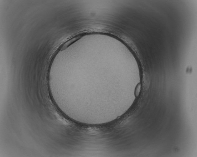 X0000114700481200911181320