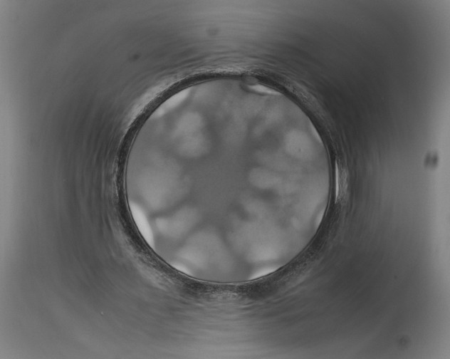 X0000114700483200911181320