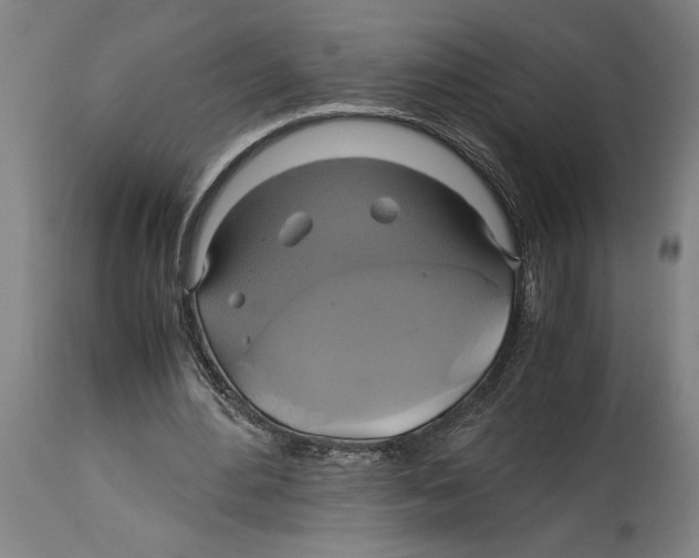 X0000114700484200911181320